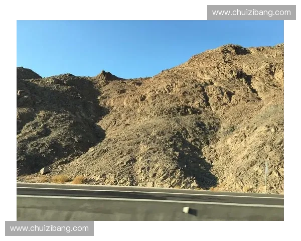 埃及超直播引领全球体育新潮流，探索未来数字媒体变革之路